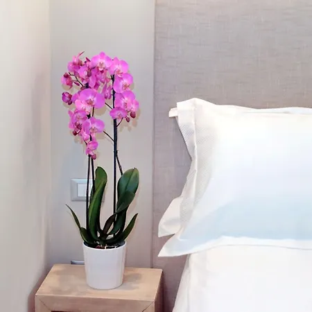 Cancelleriadieci Appartement