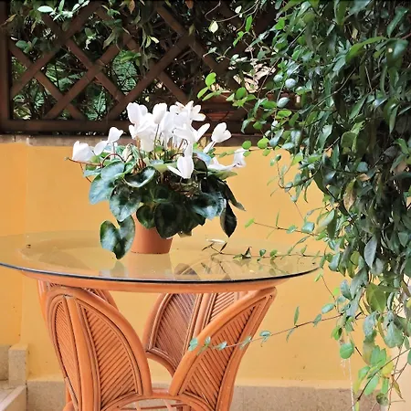 公寓 康赛乐里亚迪耶奇旅馆