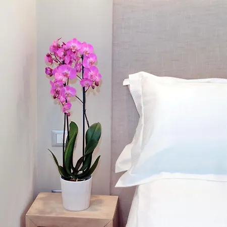 Appartamento Cancelleriadieci *