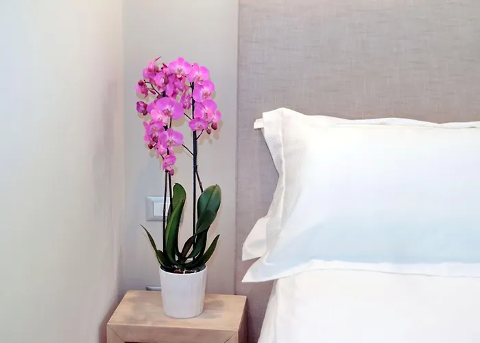 Cancelleriadieci Lägenhet